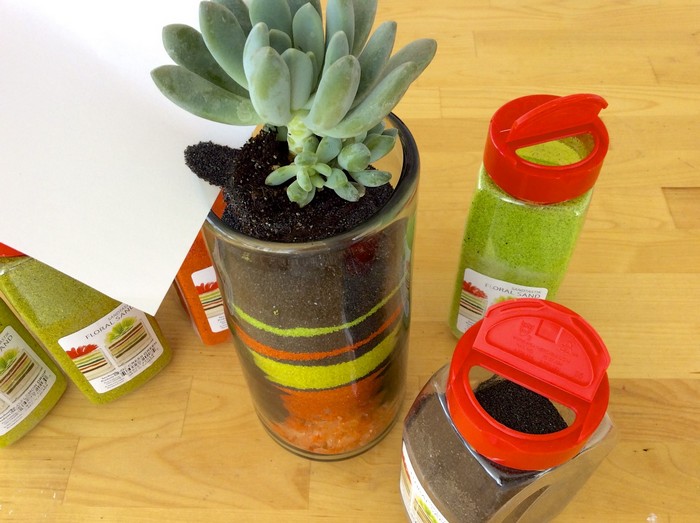 How to make a Desktop Succulent Garden 8